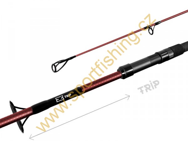 DELPHIN ETNA E3 TRIP 1