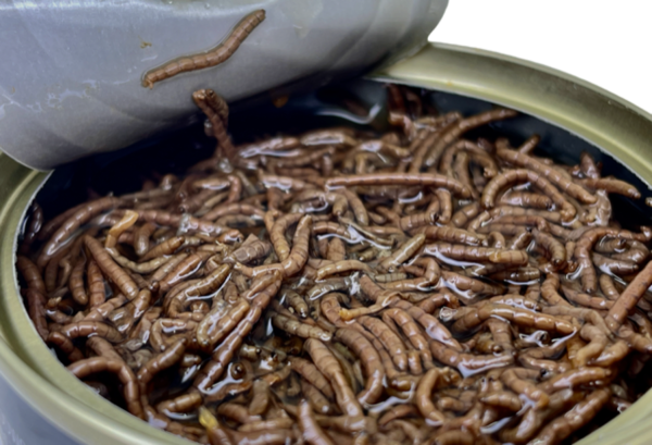 LK Baits Pet Natur Canned Bloodworms 100g 1