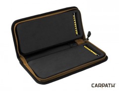 DELPHIN Area RIG Carpath2