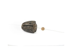FOX Removable Flying Back Weights 10g 5ks 3