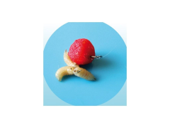 CHYTIL Perličky foukačky mini 4mm 20g 2